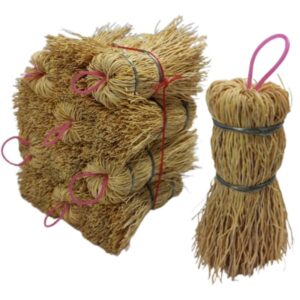 Escobeta Raiz Mini Minimo 12 piezas Pjar