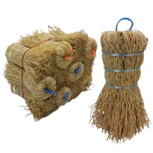 Escobeta Raiz Grande Minimo 12 piezas Pjar