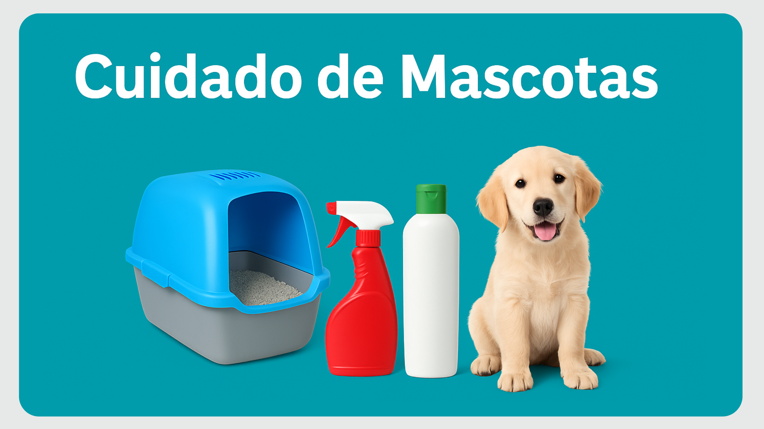 Cuidado de mascotas Categoria